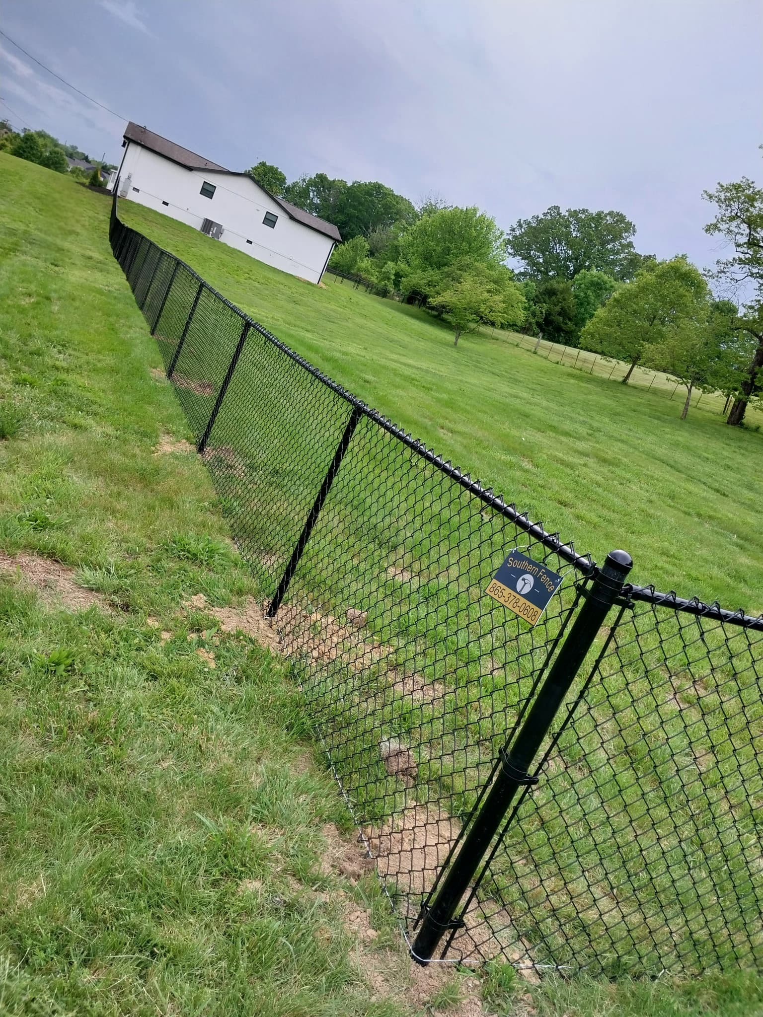 Residential chain-link fence with gate