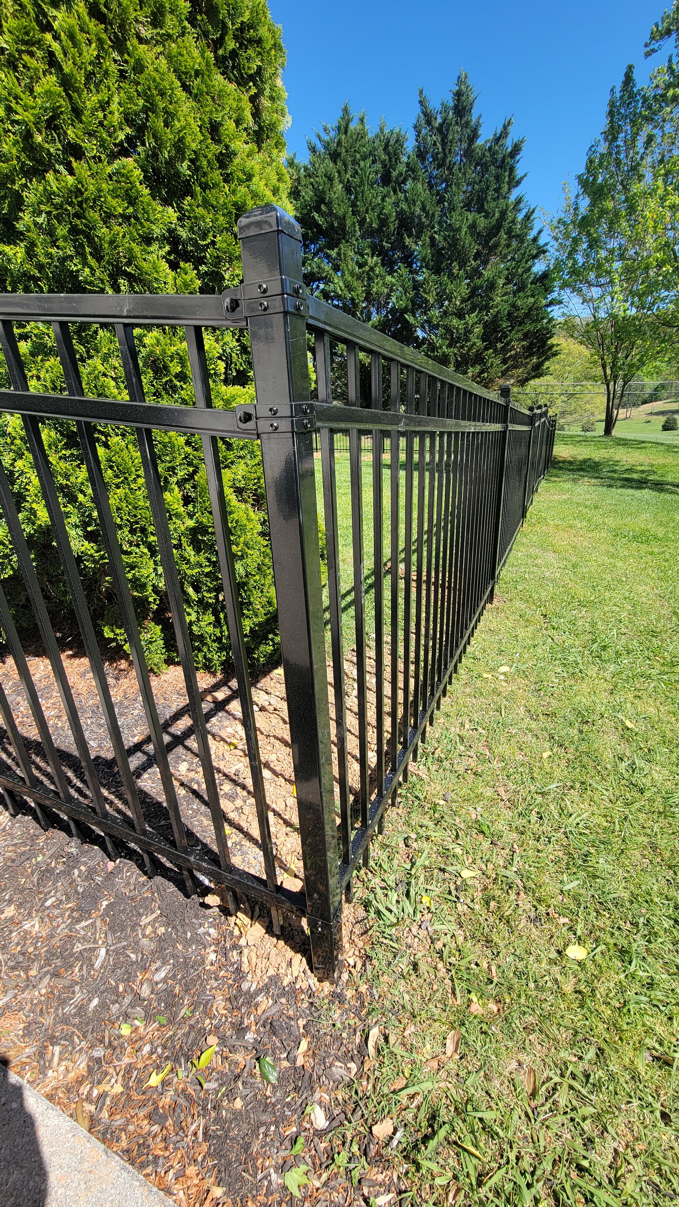 Steel ornamental gate with decorative scrollwork